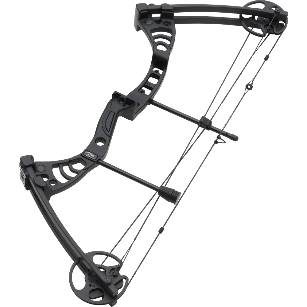 Compound bow Aurora 55 lbs 