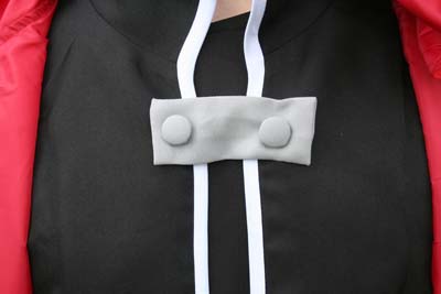 Fullmetal Alchemist - Edward Elric